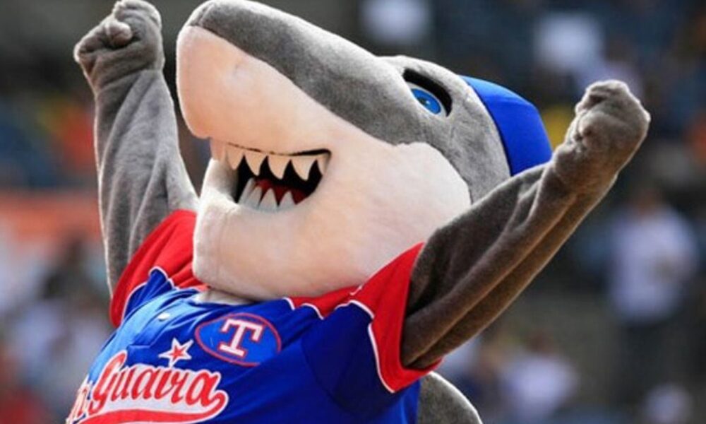 Tiburones de La Guaira suma seis peloteros en su octavo día de pretemporada