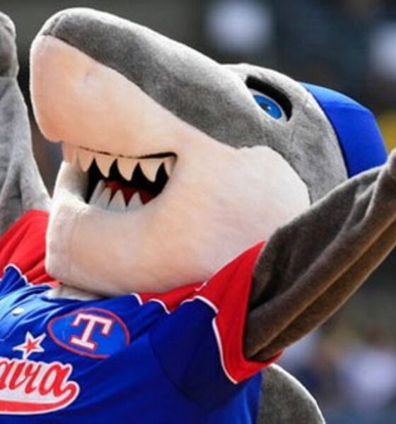 Tiburones de La Guaira suma seis peloteros en su octavo día de pretemporada