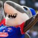 Tiburones de La Guaira suma seis peloteros en su octavo día de pretemporada