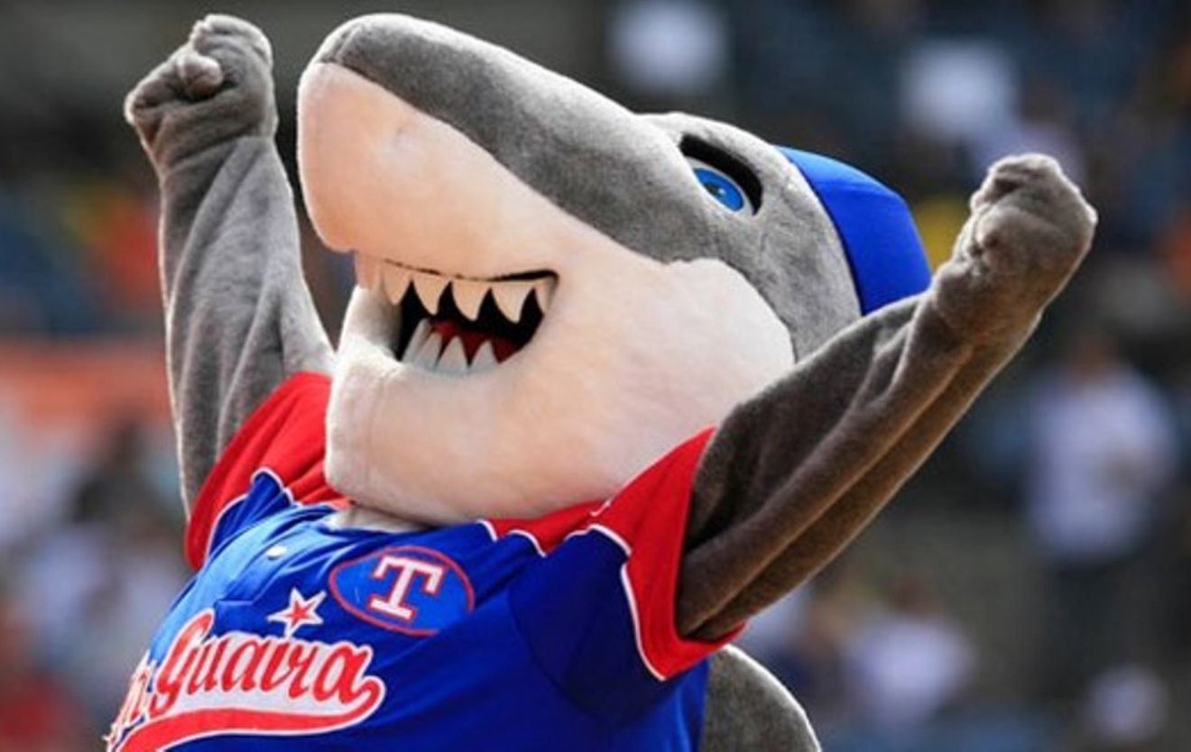 Tiburones de La Guaira suma seis peloteros en su octavo día de pretemporada